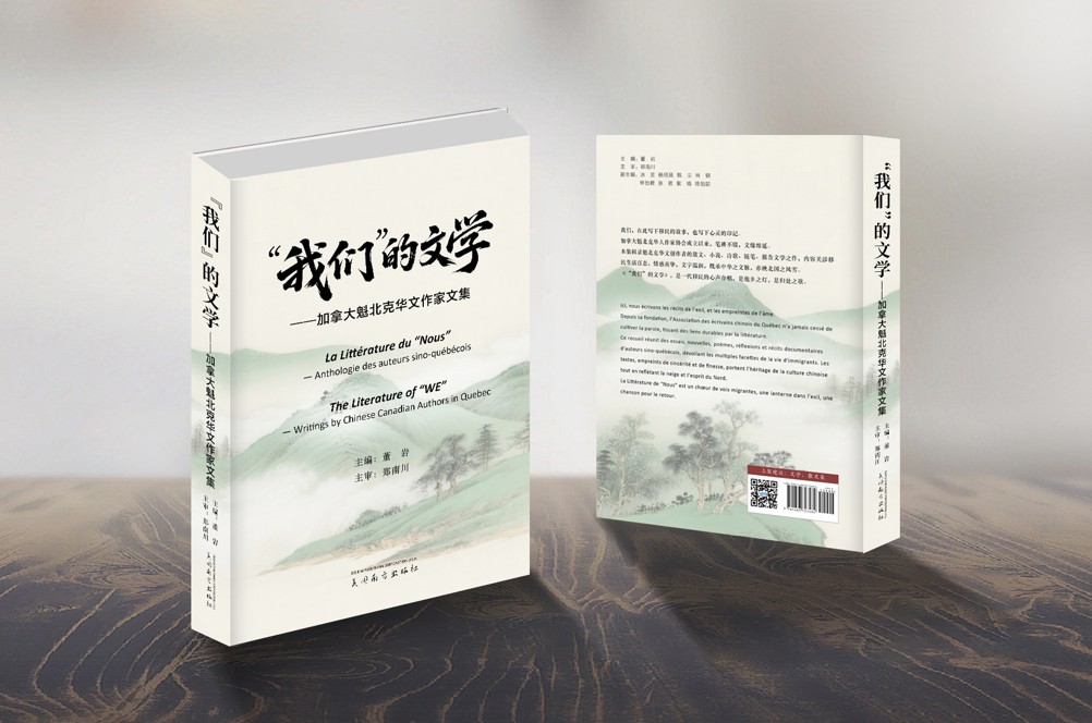 "我们"的文学